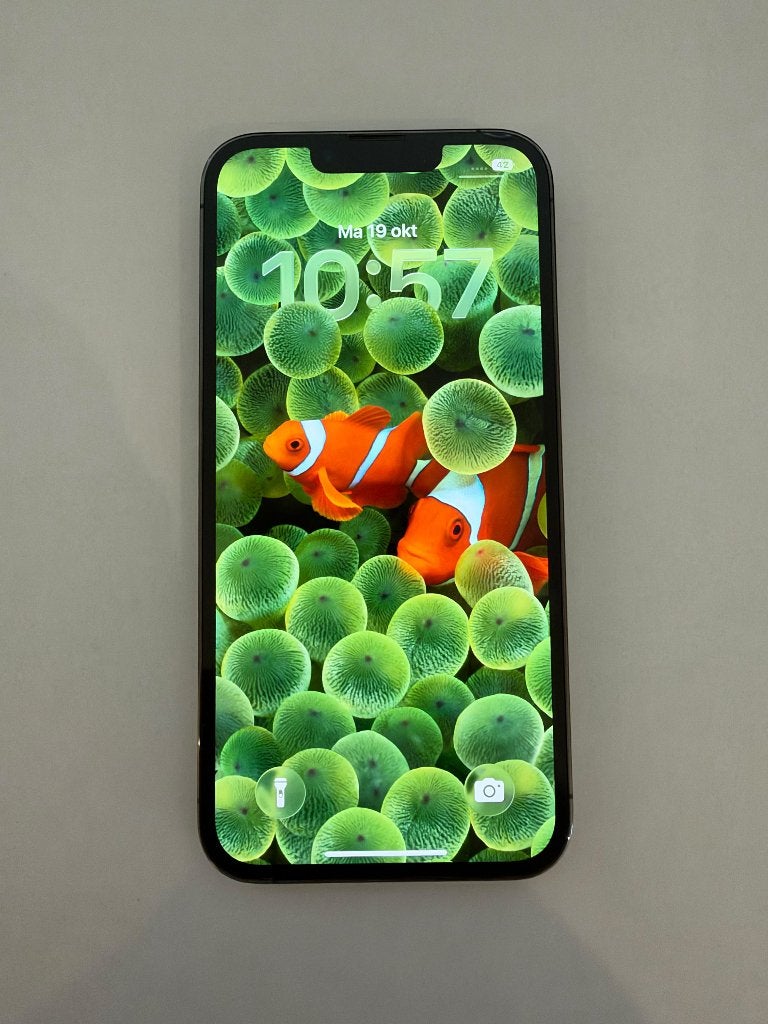 iPhone 13 Pro, Ophalen, 128 GB, 75 %, Zwart