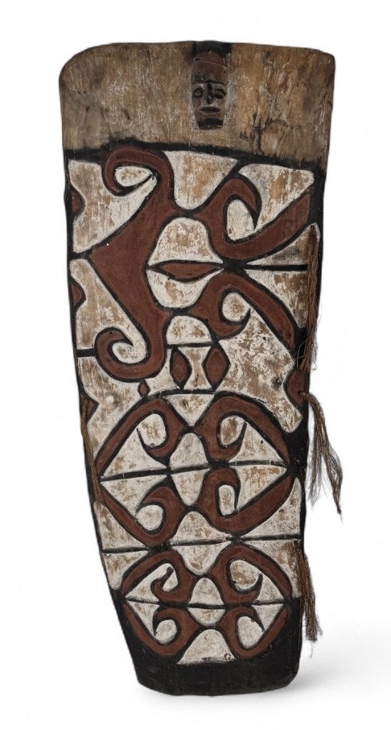 903. Asmat oorlogsschild - hout, Nieuw-Guinea, 20e eeuw, Antiek en Kunst, Ophalen of Verzenden