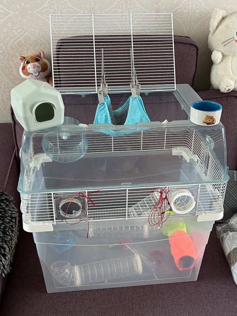 Ferplast dwerg hamsterkooi, Kooi, Minder dan 75 cm, Zo goed als nieuw, Hamster