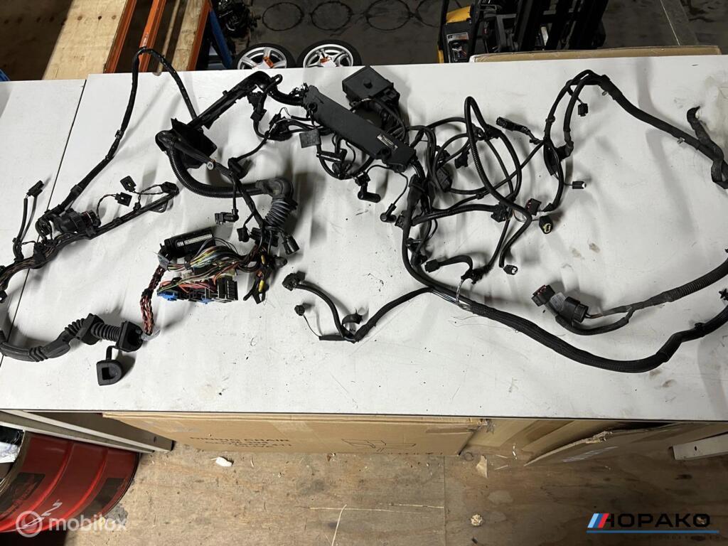 Kabelboom motor BMW E6x 535D M57D4, Gebruikt, Einsteinlaan 5 rijswijk, Bmw, Ophalen of Verzenden
