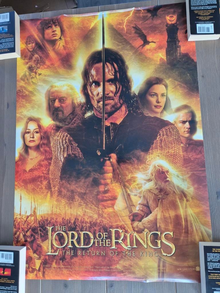 Vintage Lord of the Rings Filmposters 2001-2002 (bioscoop), Rechthoekig Staand, Deurposter of groter, Ophalen of Verzenden, Zo goed als nieuw