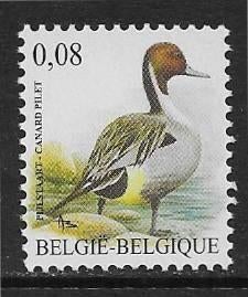 België 2011  Vogel  Pijlstaart   4136  (Pfr), Verzenden, Postfris