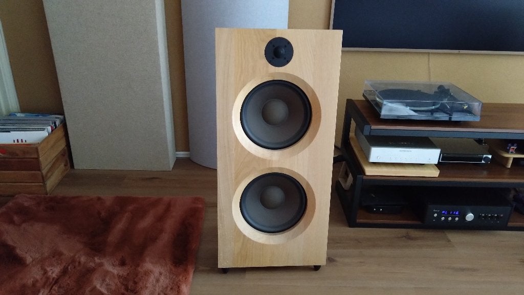 Foto 3 van Clayton Shaw Caladan – High-End Open Baffle – Zelfbouw