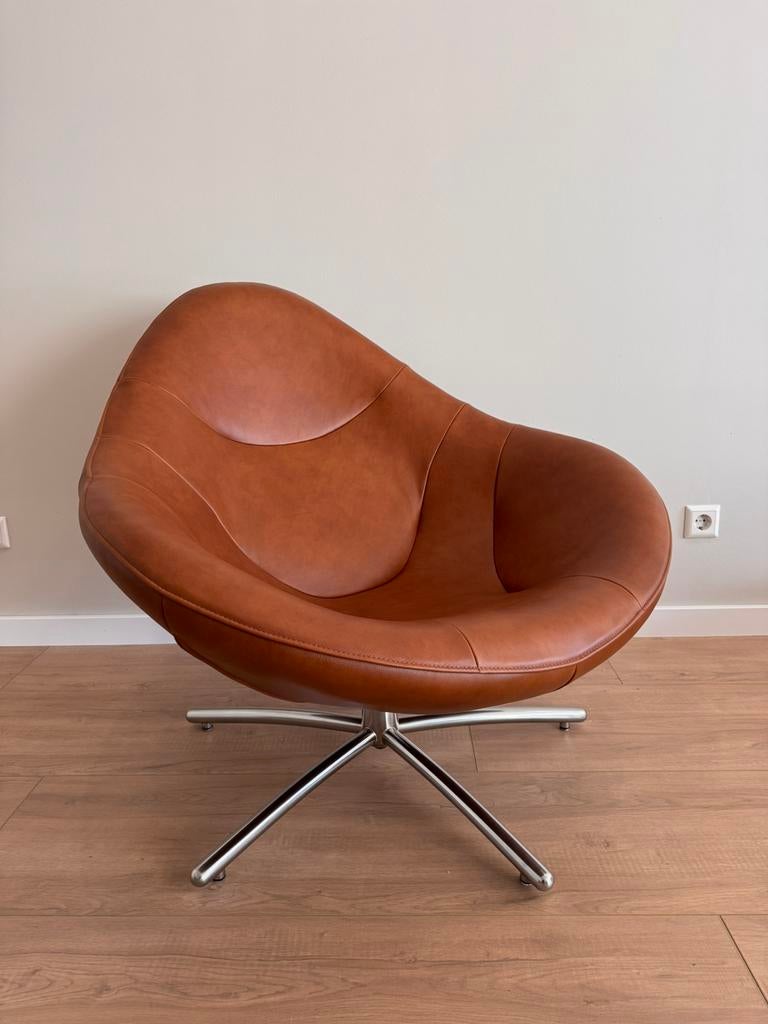 Label van den berg - Hidde, Ophalen of Verzenden, Nieuw, 75 tot 100 cm, Leer