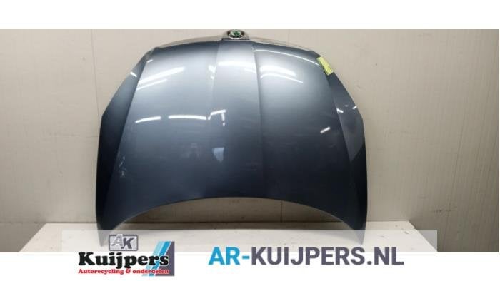 Motorkap van een Skoda Fabia, Auto-onderdelen, Gebruikt, -, -, Skoda