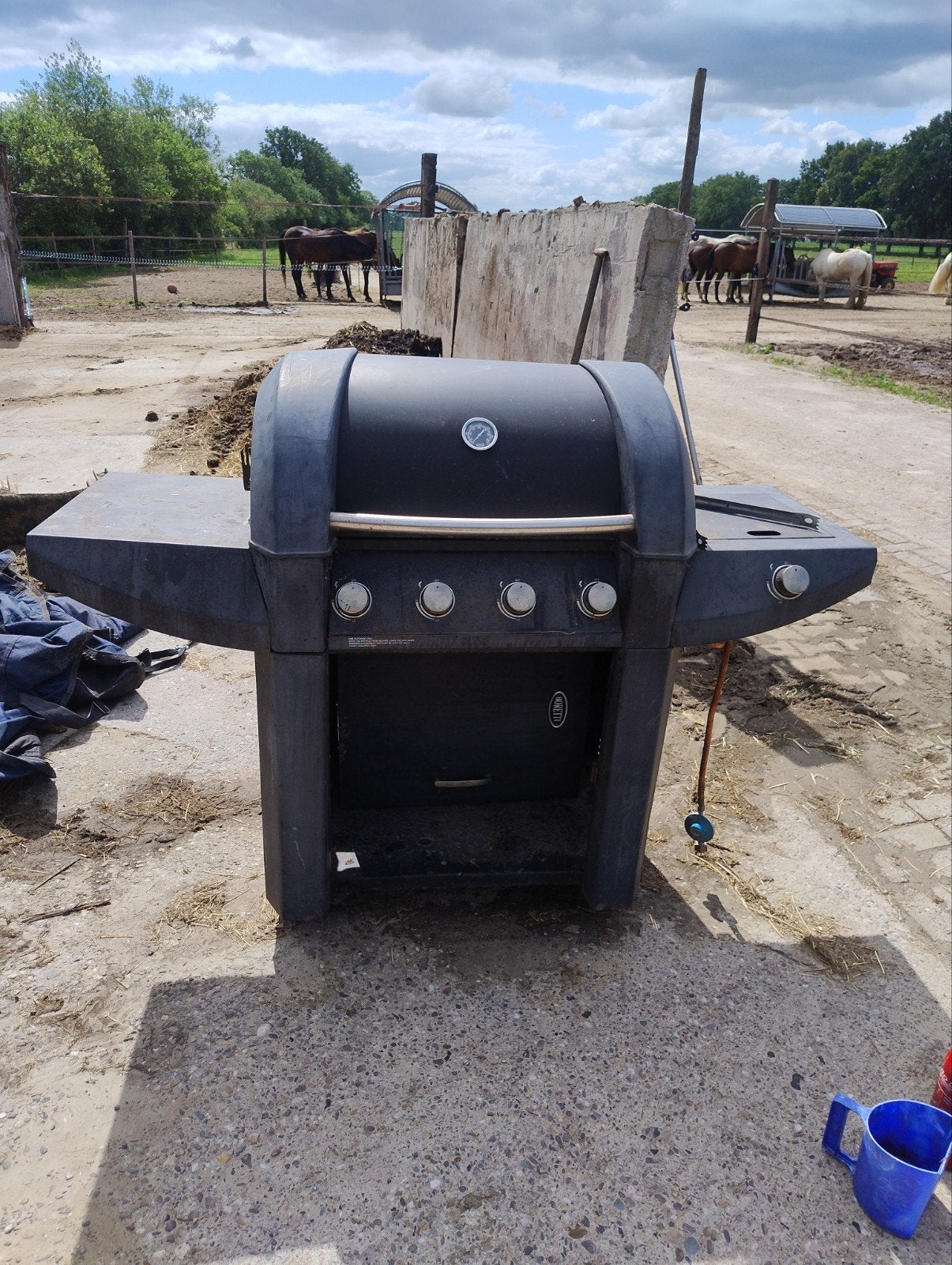Gebruikte gasbarbecue met 4 branders, Ophalen