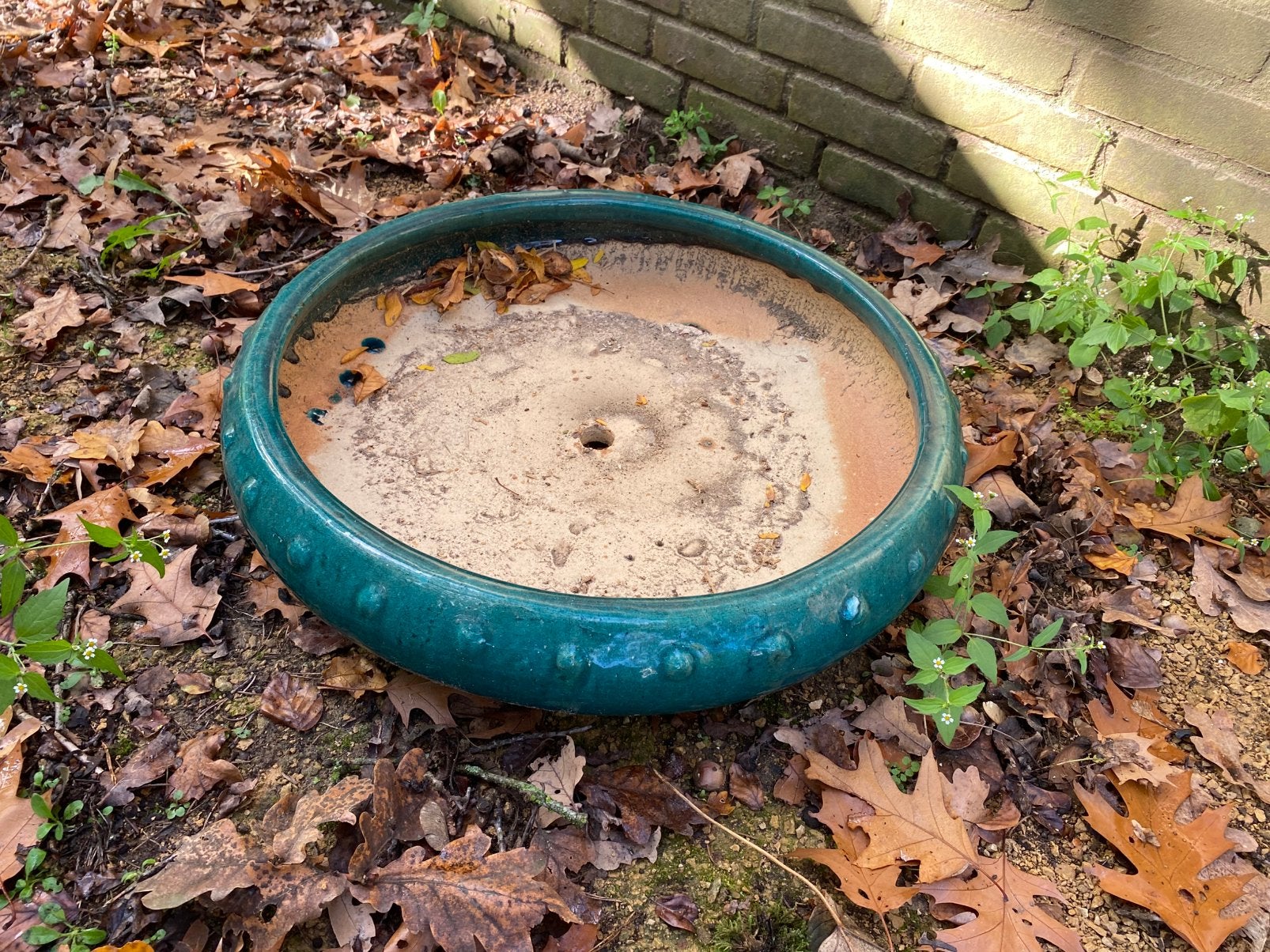 Grote bonsai schaal XXL, Tuin en Terras, Ophalen, Rond, Zo goed als nieuw, Minder dan 40 cm