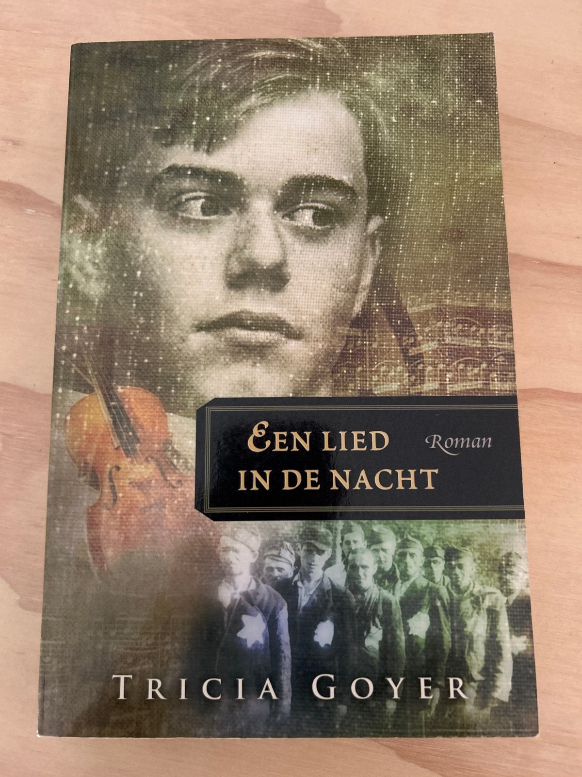 Een Lied in de Nacht - Tricia Goyer, Boeken, Romans, Ophalen of Verzenden, Zo goed als nieuw, Nederland