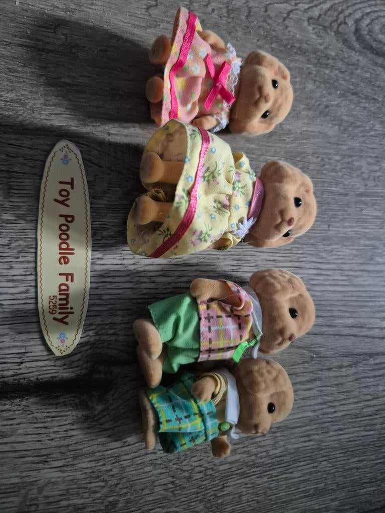 Sylvanian Families: verschillende famili, Ophalen of Verzenden, Zo goed als nieuw, Jongen of Meisje