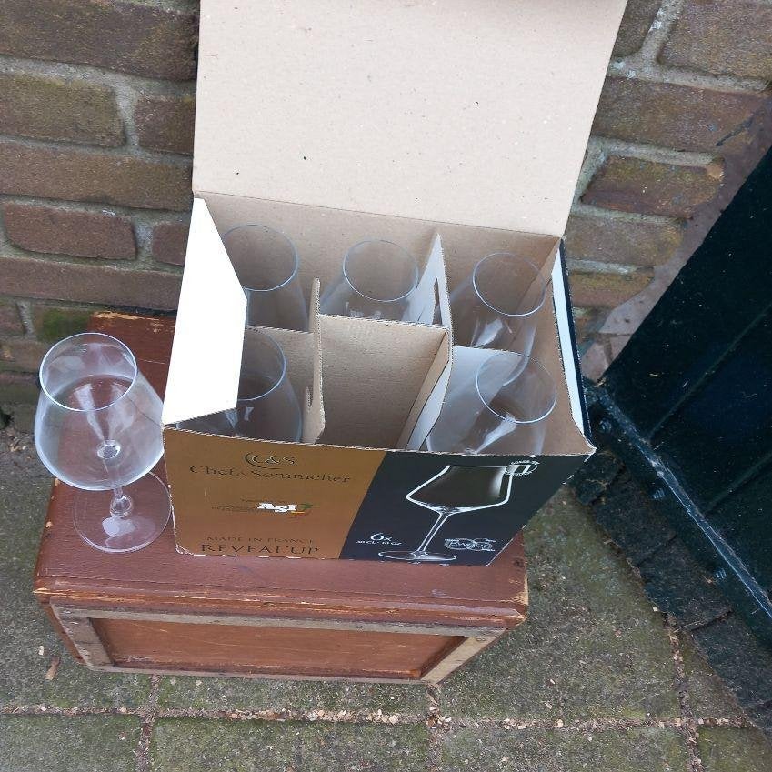 glas, wijn/ bier/ nieuw, Nieuw, Ophalen of Verzenden, Bord(en), Overige stijlen