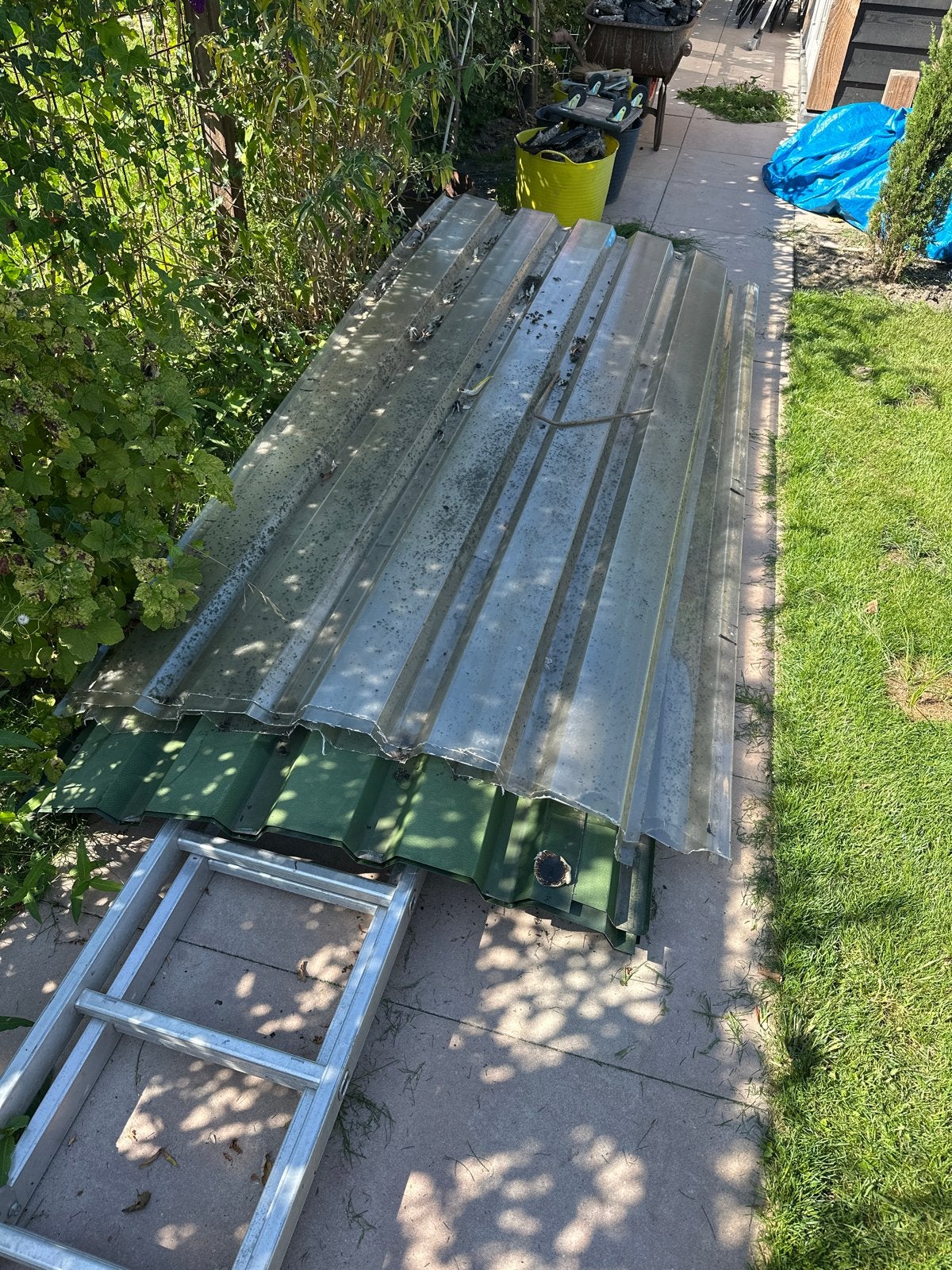 Gebruikte dakplaten GRATIS Groen en transparant, Dakplaat of Dakpanplaat, Gebruikt, Overige kleuren, Metaal