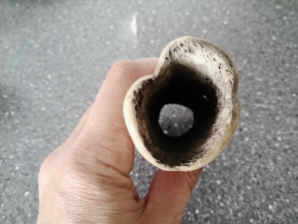 Afrikaans ceremonieel beeld van been driekoppig 16cm Congo, 16 cm, Handgemaakt, Beeld, Afrika