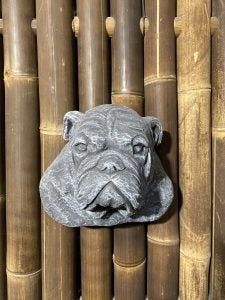 Buldog borstbeeld, Tuin en Terras, Ophalen, Nieuw, Beton, Dierenbeeld