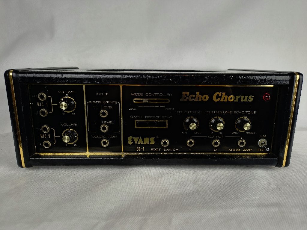 Evans Super Echo EE-3 Tape Echo COMPLETELY OVERHAULED, Ophalen of Verzenden, Gebruikt, Delay of Echo