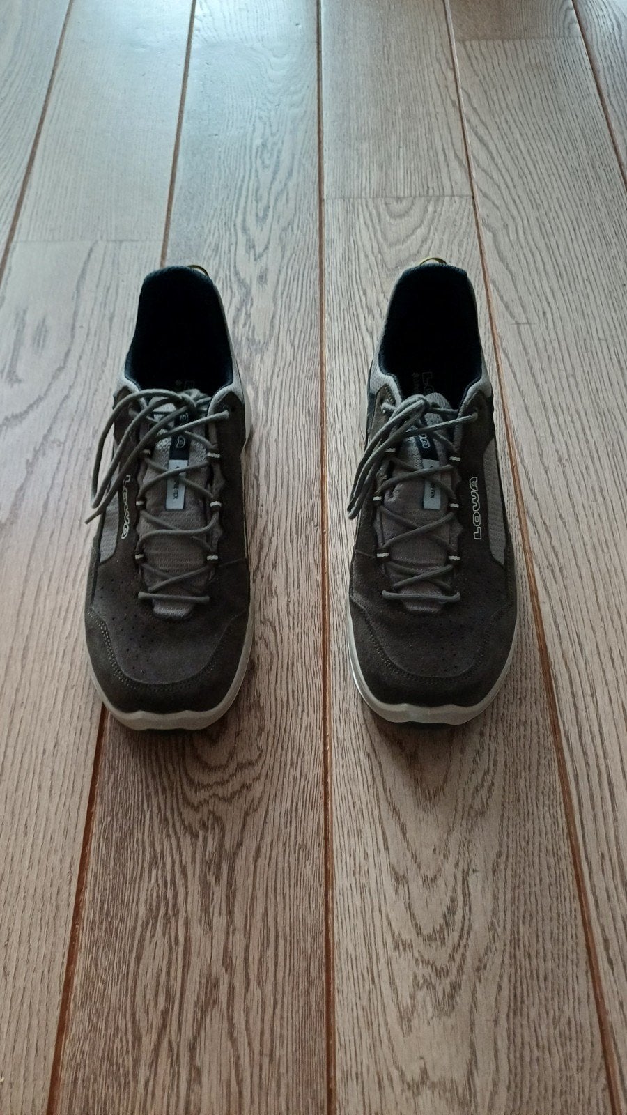 Lowa Ventierra GTX LO Wandelschoenen,  maat 44 Nieuw, Ophalen of Verzenden, Nieuw, Overige typen, Overige merken