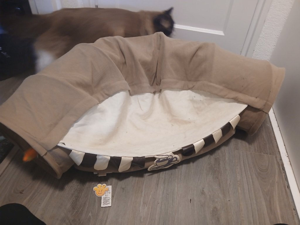 Kattentunnel, Ophalen, Zo goed als nieuw, Speeltunnel
