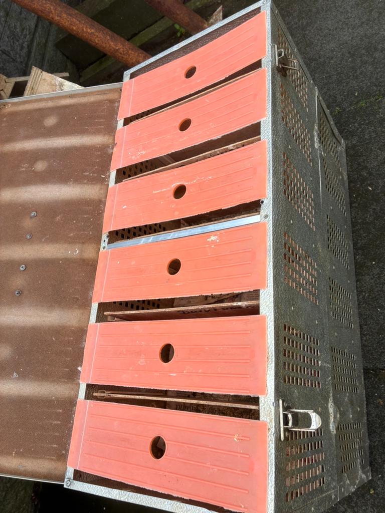 Postduiven duivenmand 12-vaks, Dieren en Toebehoren, Vogels | Duiven, Meerdere dieren, Postduif