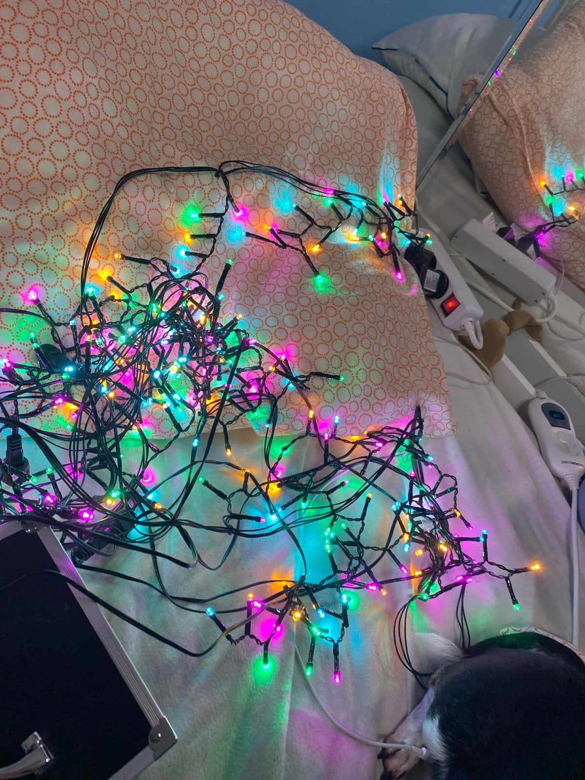 Kerst verzieting licht, Ophalen