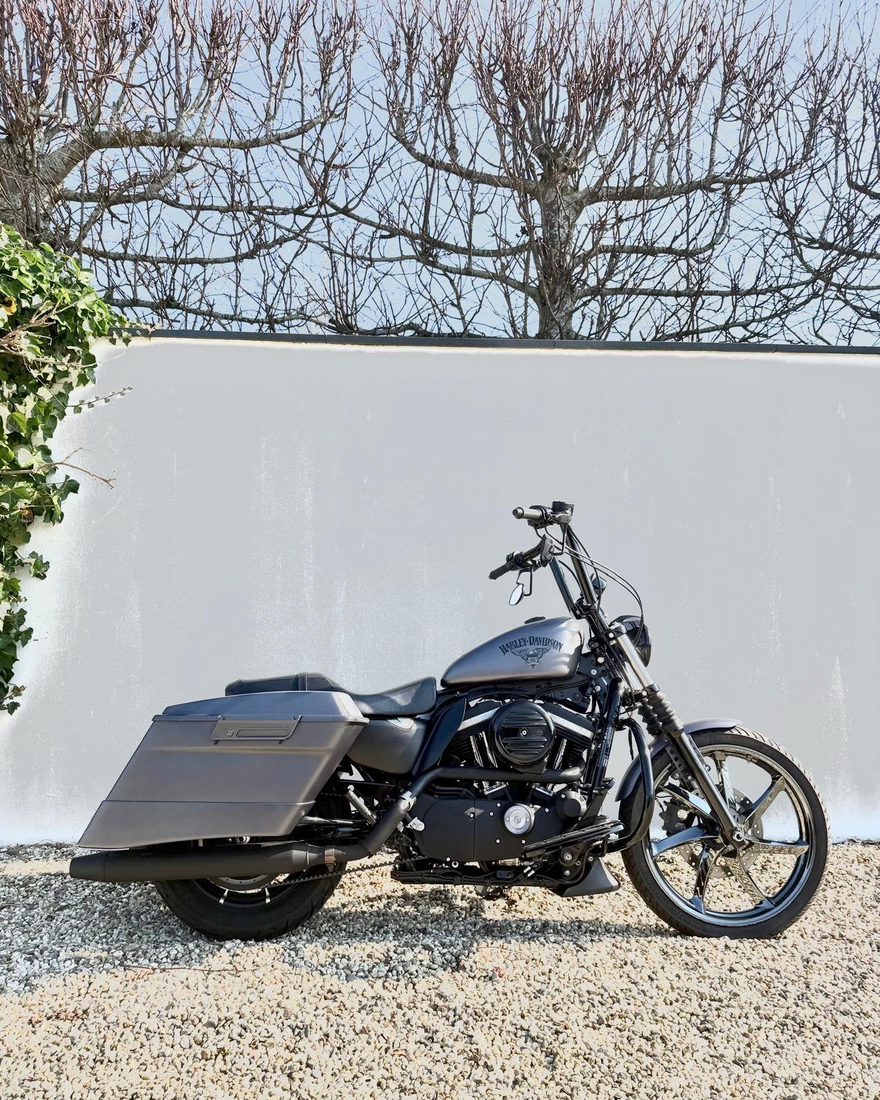 Sporster  883 speciaal, 2 cilinders, Chopper, Gebruikt, 883 cc