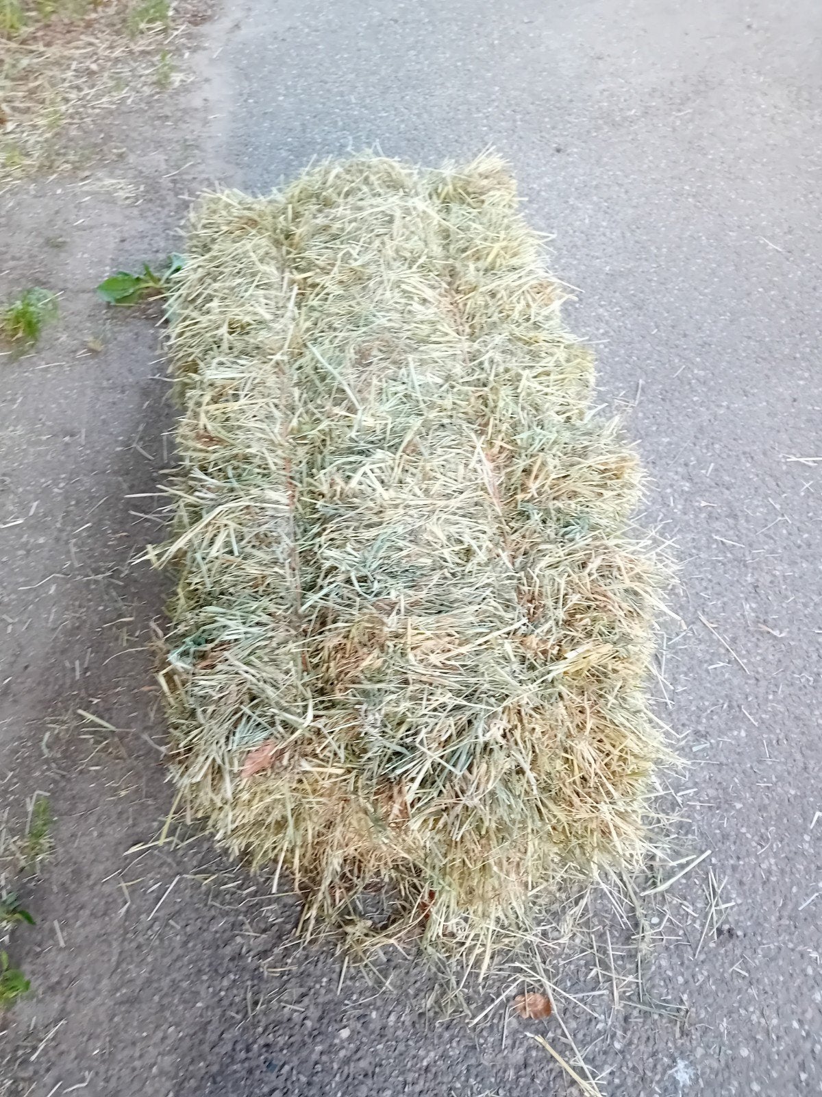 Kleine balen hooi , pakken hooi. Thuisbezorgen., Dieren en Toebehoren, Dierenvoeding, Ophalen of Verzenden, Vee