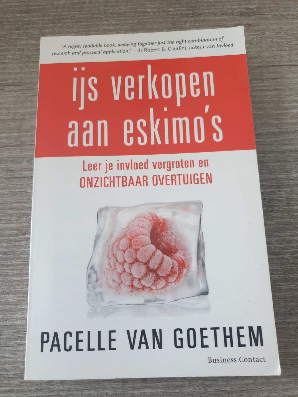 IJs verkopen aan eskimo's - Pacelle van Goethem, Boeken, Ophalen of Verzenden, Gelezen, Pacelle van Goethem