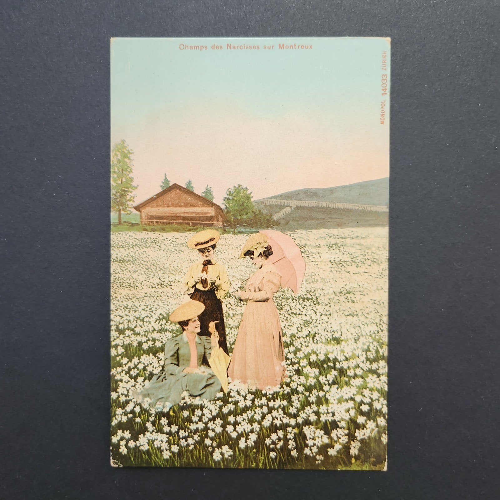 Oude ansichtkaart: Champs des Narcisses sur Montreux, Verzenden, Voor 1920, Frankrijk