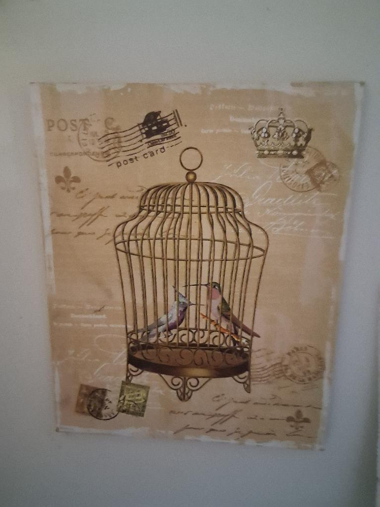 schilderij met vogels en kooi erop, Ophalen, Zo goed als nieuw, Schilderij