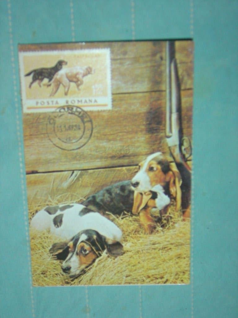 2) Kleuren ansichtkaart 2 Honden, Ophalen of Verzenden, 1980 tot heden, Ongelopen, Hond of Kat