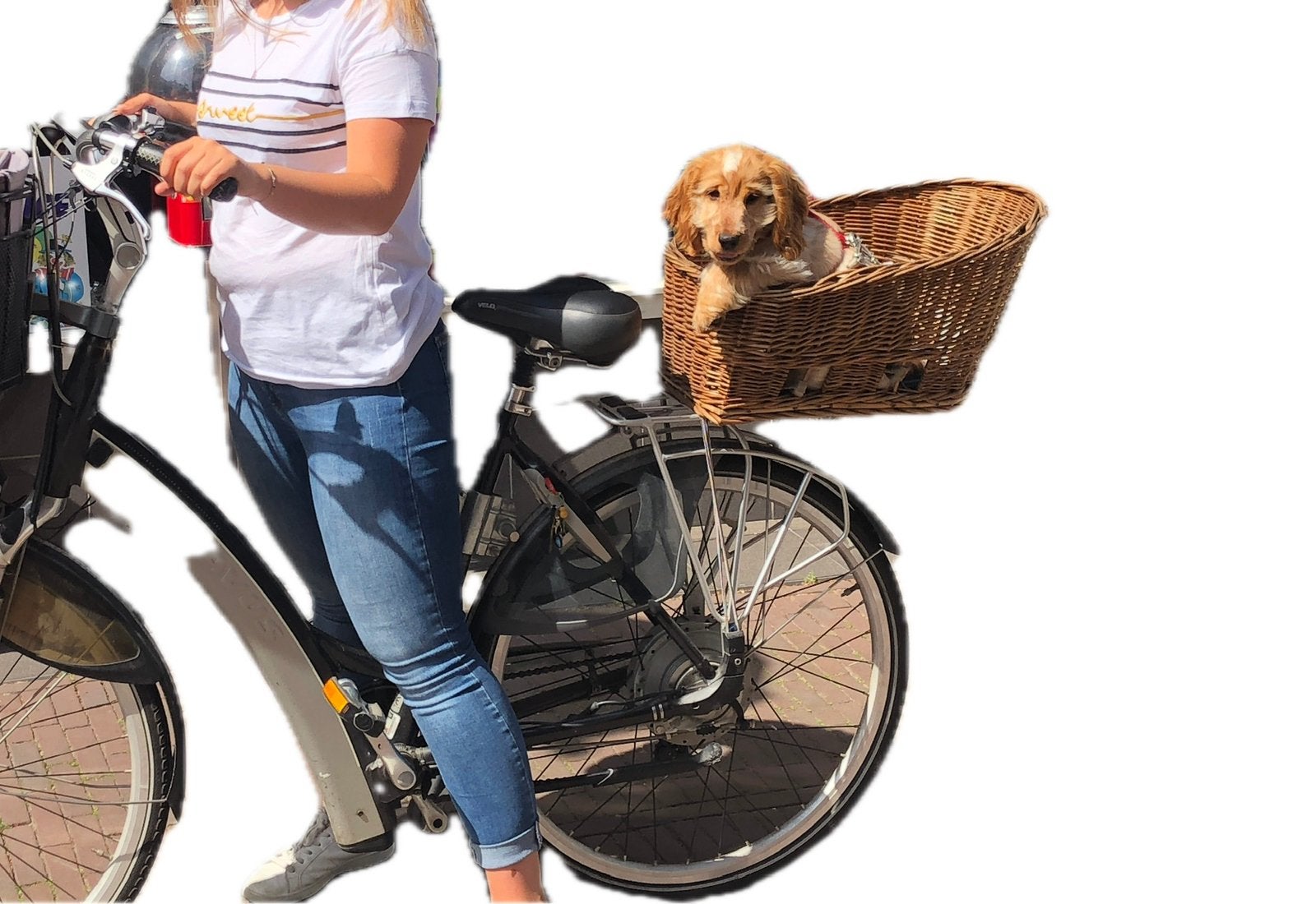 Hondenfetsmand achterop riet, Fietsen en Brommers, Ophalen of Verzenden, Gebruikt, Fietsmand
