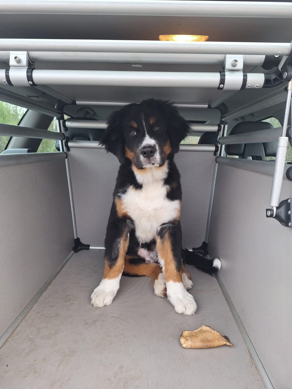 Aluminium honden XXL autobench., Dieren en Toebehoren, Hondenbenches, Ophalen, Gebruikt