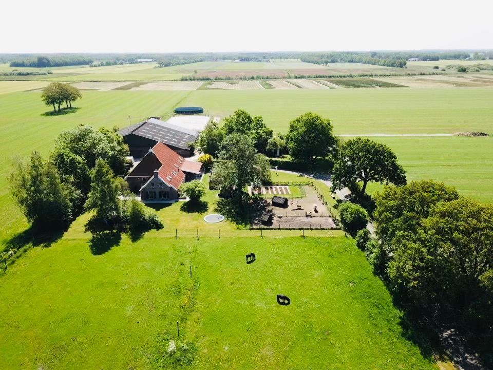 Vanaf 1 juli zomerweide voor paarden/ pony’s Oldeberkoop.