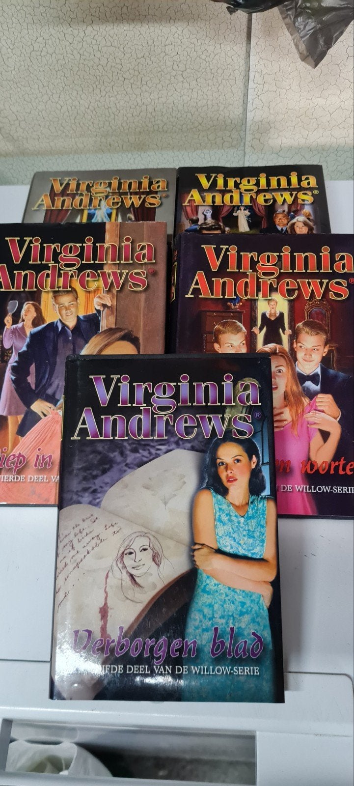 Virginia Andrews - Willow, Ophalen of Verzenden, Zo goed als nieuw, Virginia Andrews