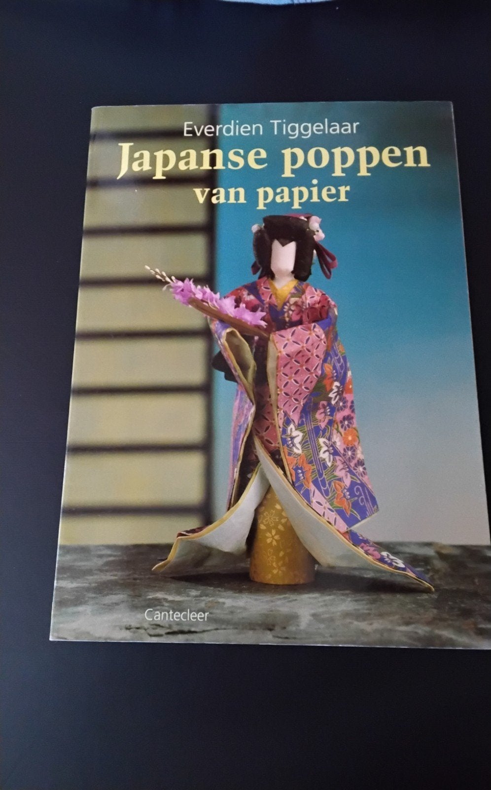 Japanse poppen van papier - Everdien Tiggelaar, Ophalen of Verzenden