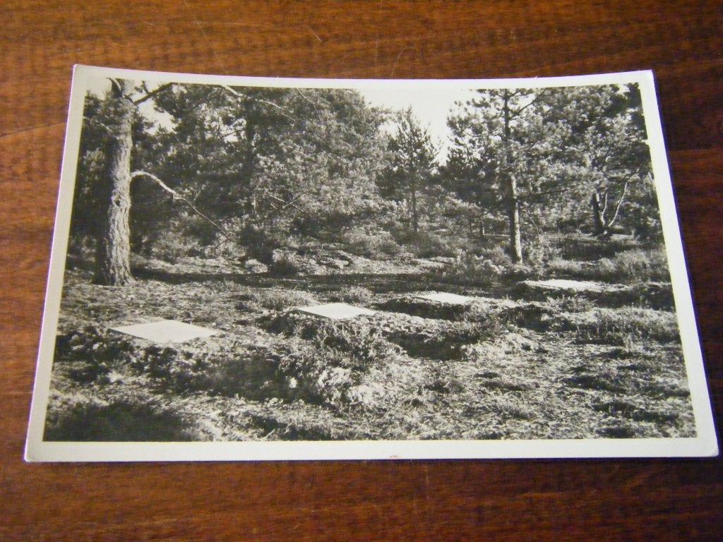 M38 - Loenen - Begraafplaats - Mooi/Oud, Ophalen of Verzenden, 1940 tot 1960, Gelderland