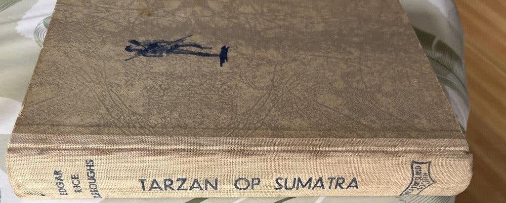 Tarzan op Sumatra Edgar Rice Burroughs, Boeken, Ophalen of Verzenden, Gelezen, Edgar Rice Burroughs