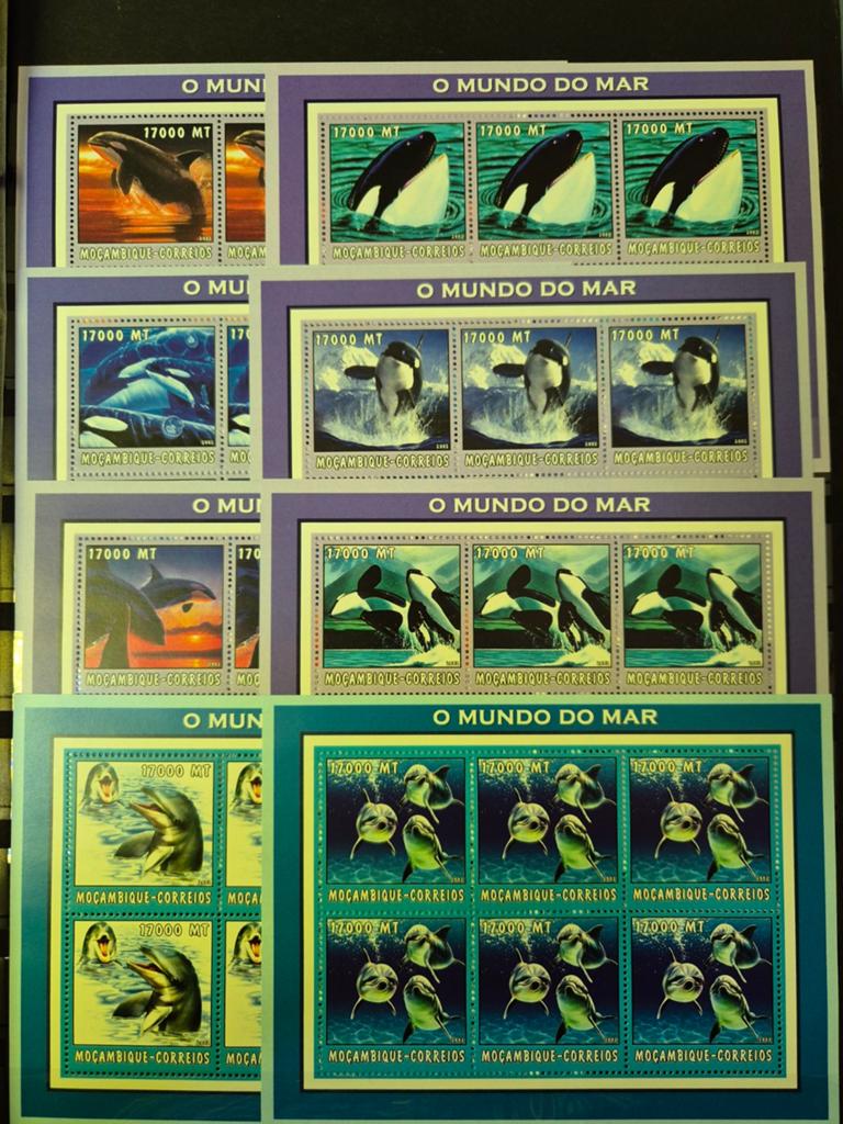 Mooi! Zeeleven, marine, zee, rif Mozambique 47x blokken pf, Verzenden, Buitenland
