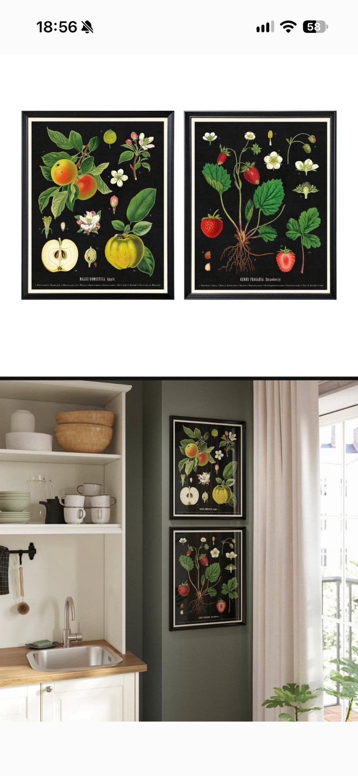 Gratis 2 posters met lijst, Ophalen, Zo goed als nieuw, A1 t/m A3, Met lijst