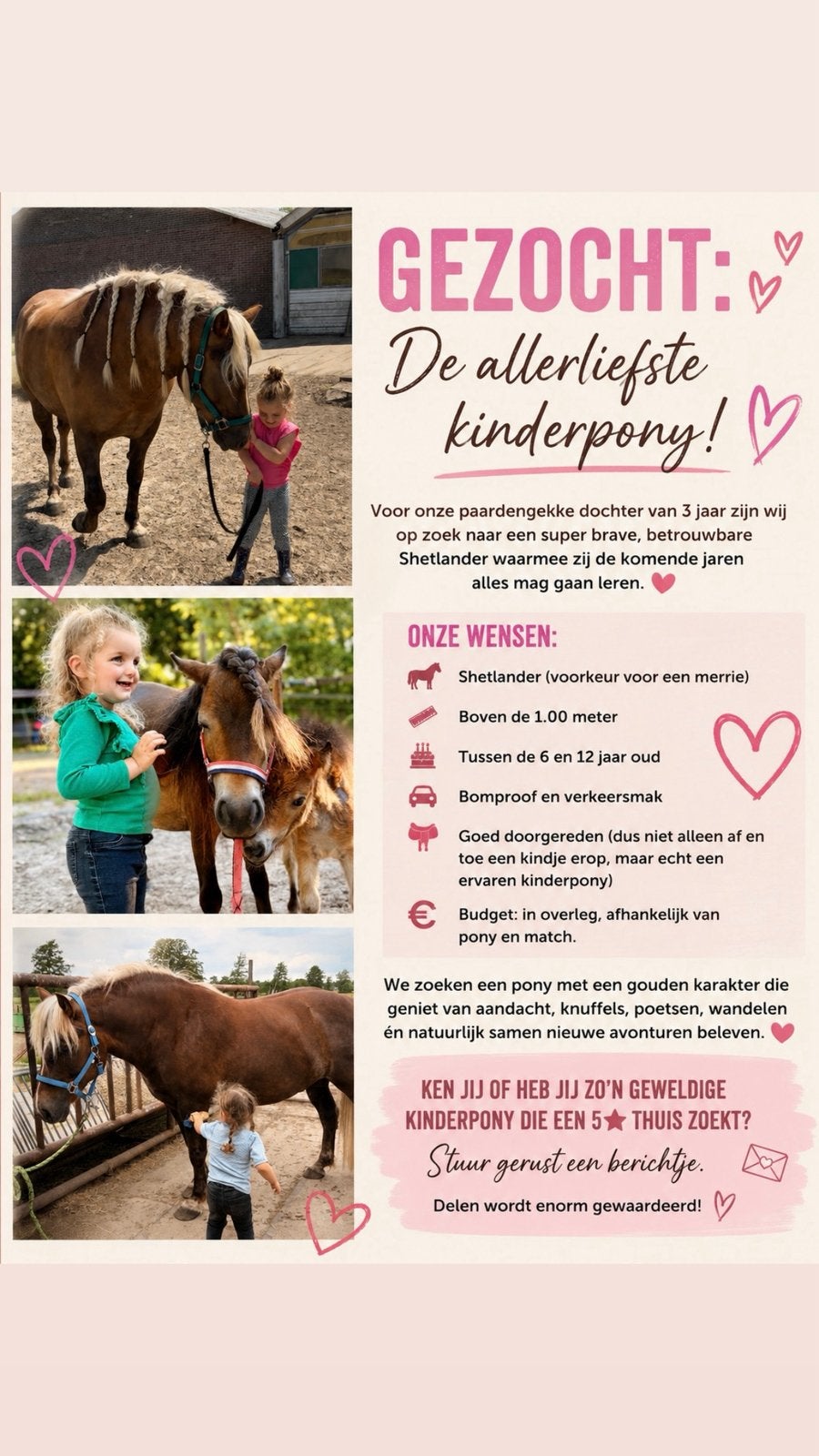 Gezocht droompony., Dieren en Toebehoren, Ophalen, Zo goed als nieuw
