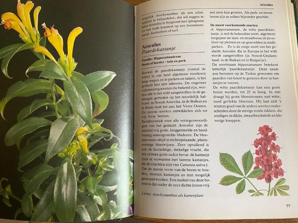 De Kleine Fleur encyclopedie deel 1 tm 13, Complete serie, Bloemen en Planten, Het Spectrum BV, Ophalen