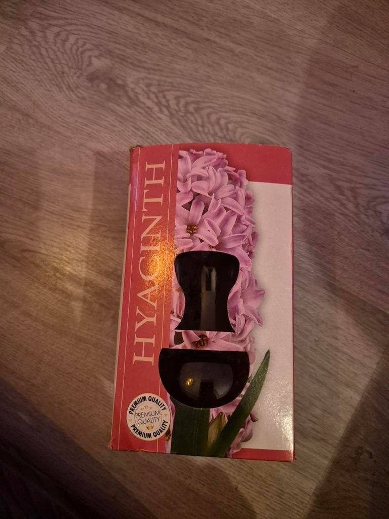 Hyacint in vaas, Zwart, Ophalen of Verzenden, Minder dan 50 cm, Glas