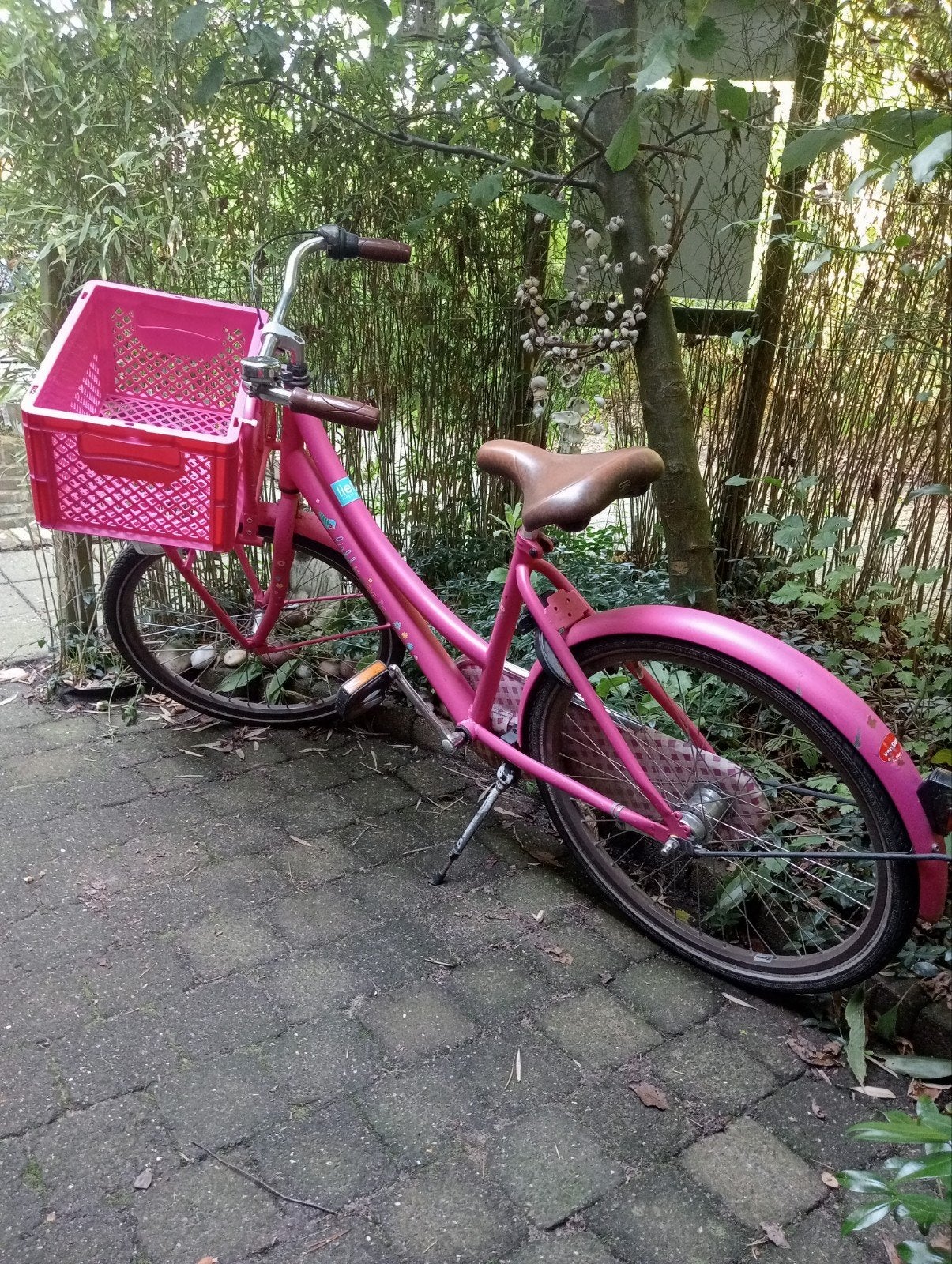 Roze Lief! Lifestyle meiden fiets met roze krat, Fietsen en Brommers, Ophalen, Terugtraprem, Versnellingen, Lief! Lifestyle