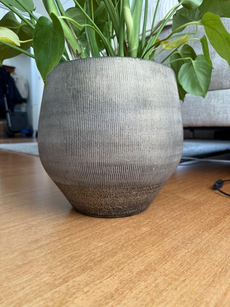 Bloempot zwart/goud, Rond, Minder dan 40 cm, Aardewerk, Ophalen