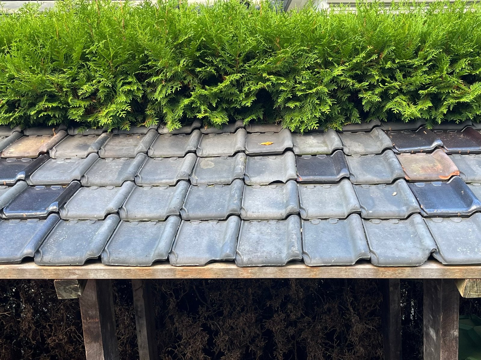 105 gebruikte dakpannen in verschillende grijstinten, Ophalen, Gebruikt, Steen of Klei, Minder dan 5 m²