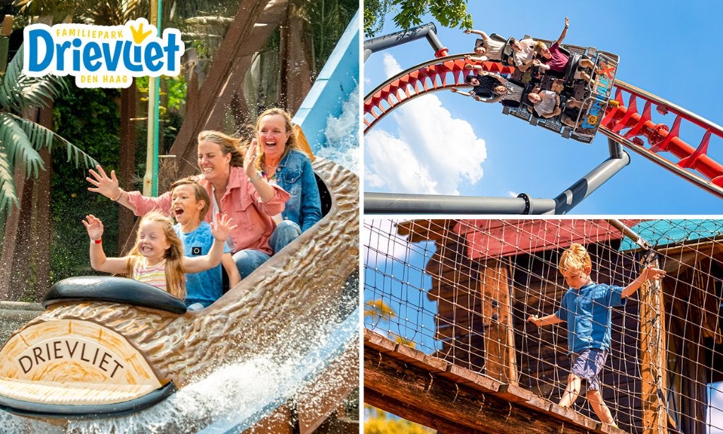 GELIJK TE OVERNAME! 4 DRIEVLIET entreekaarten!, Drie personen of meer, Ticket of Toegangskaart