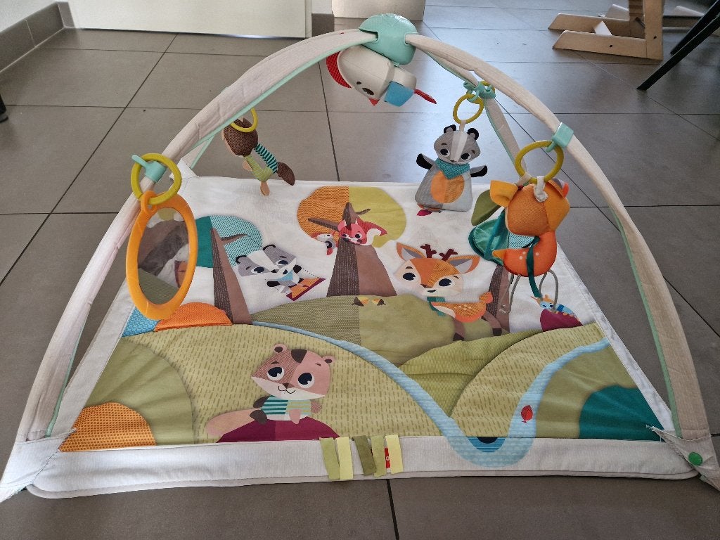 Baby gym Tiny Love, Ophalen, Zo goed als nieuw