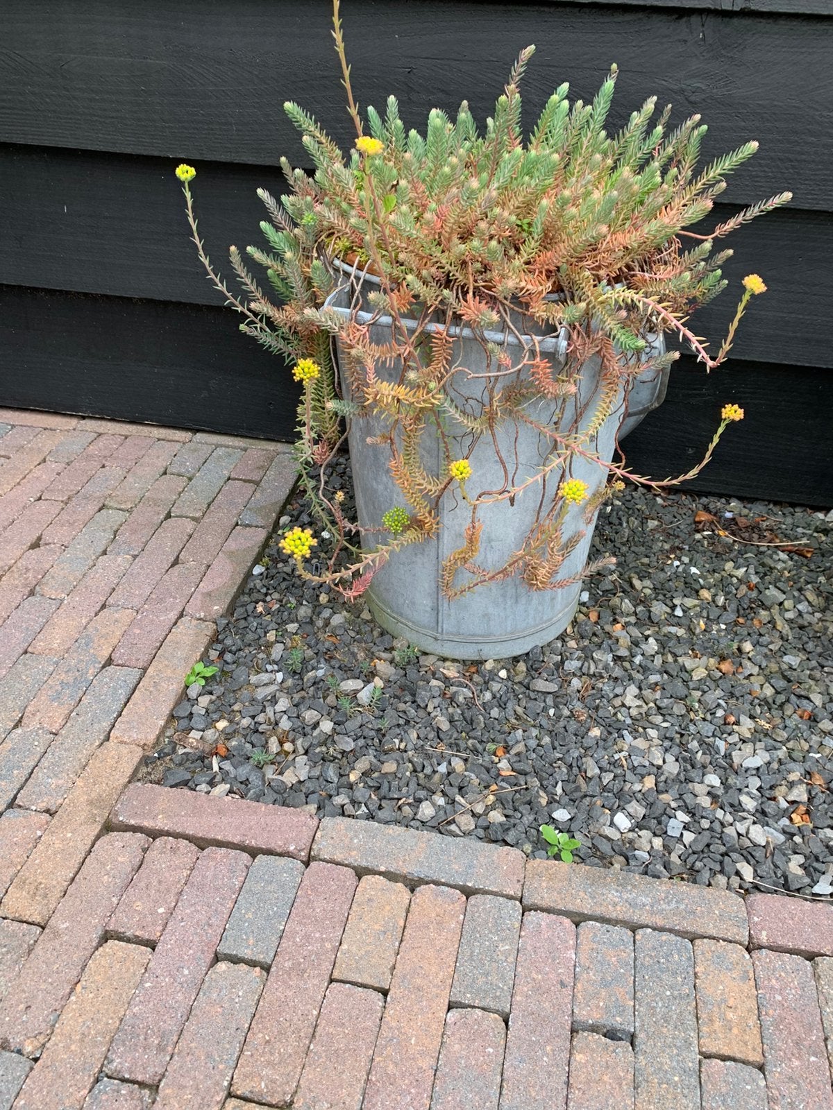 Zinken vuinis emmer, Ophalen, Minder dan 30 cm, Rond, Zo goed als nieuw