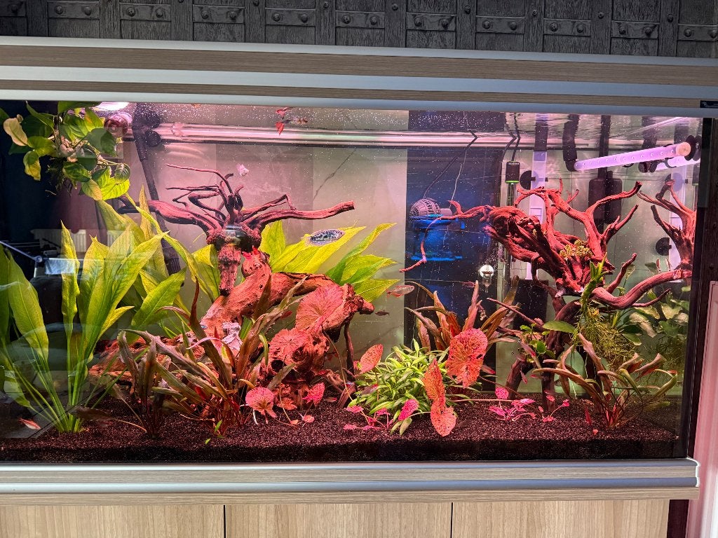 Aquatlantis aquarium 400l, Ophalen