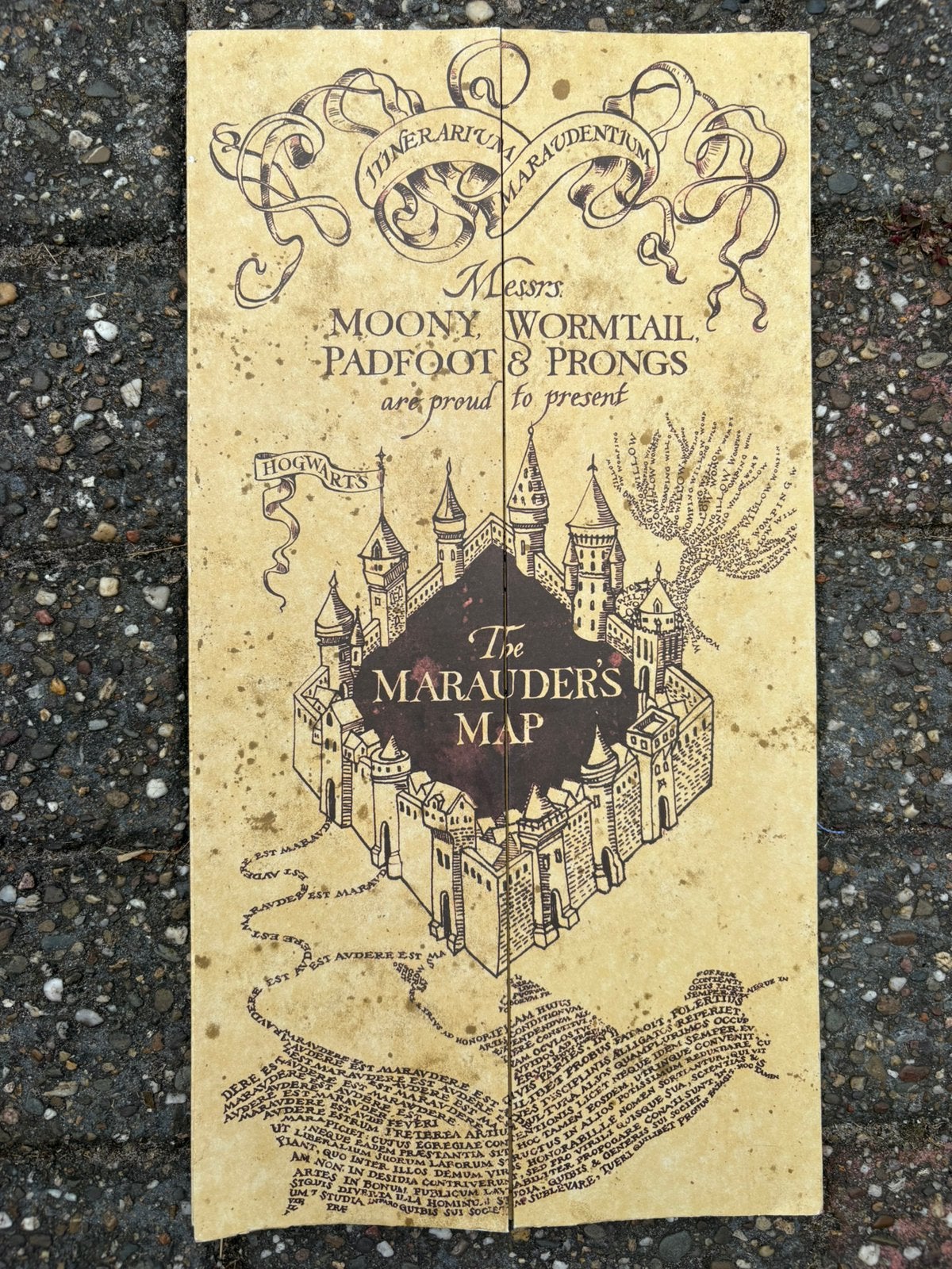 Harry potter marauders map, Ophalen, Zo goed als nieuw, Boek of Poster