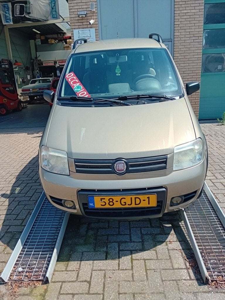 Fiat Panda 1.2 Climbing 4x4 (bj 2008), Auto's, Fiat, 15 km/l, 1242 cc, Beige, Origineel Nederlands