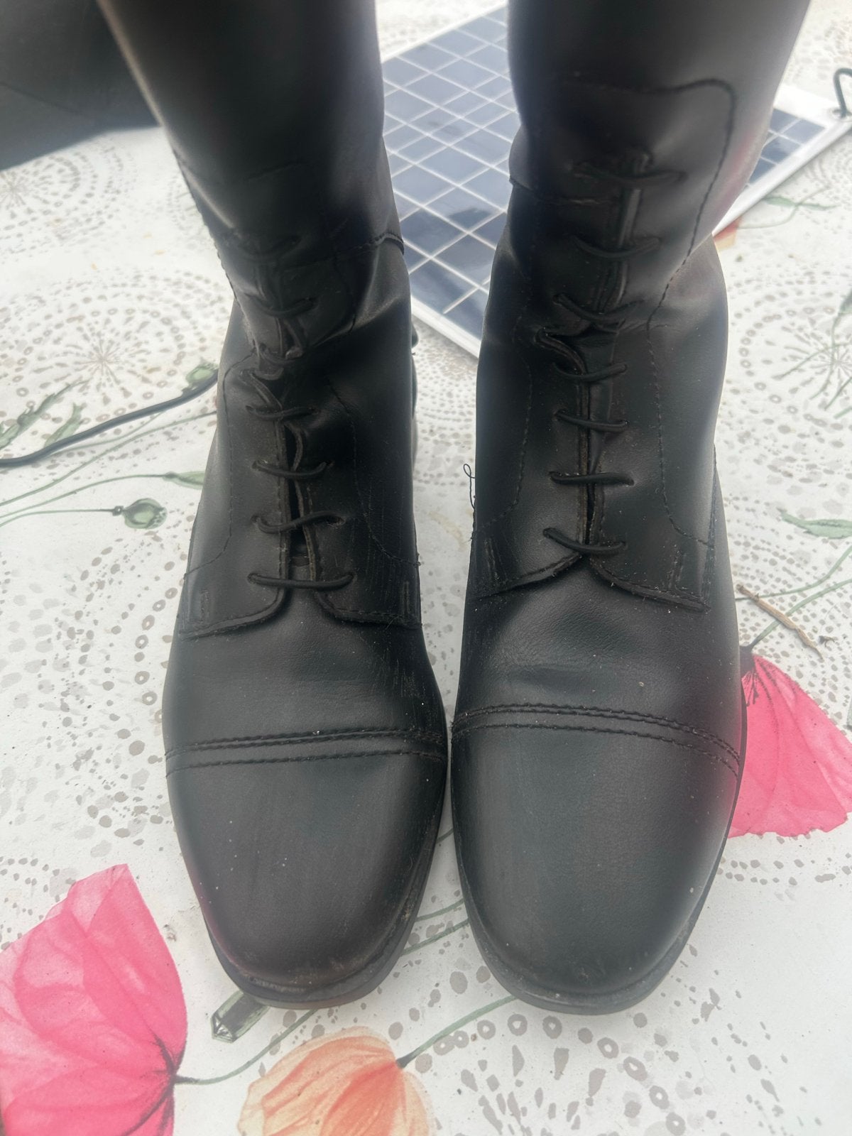 Paardrij laarzen maat 35, Dieren en Toebehoren, Paardrijkleding, Gebruikt, Ophalen of Verzenden, Zwart, Overige maten